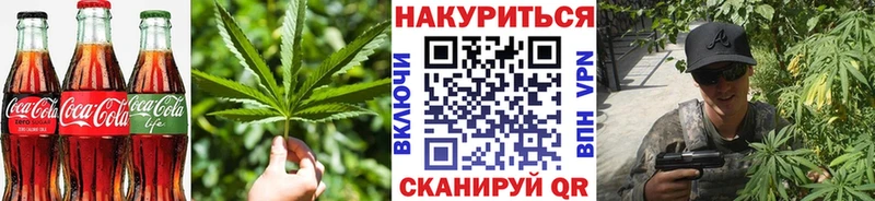 мориарти официальный сайт  где найти наркотики  Жирновск  Cannafood конопля 