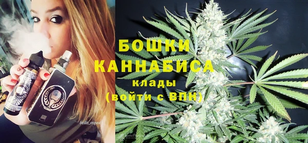крисы Верея