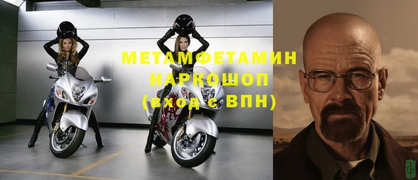 прущие грибы Верхний Тагил