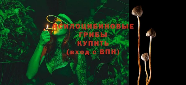 прущие грибы Верхний Тагил