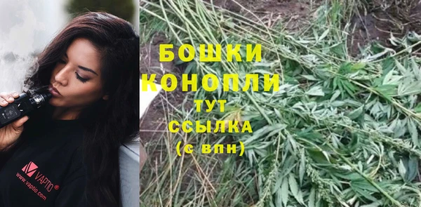крисы Верея