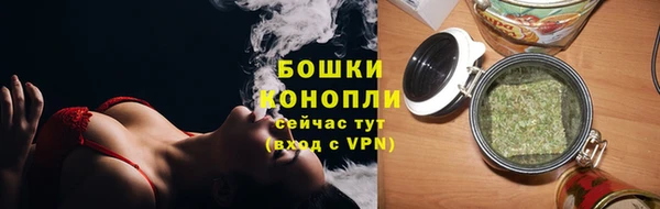 крисы Верея