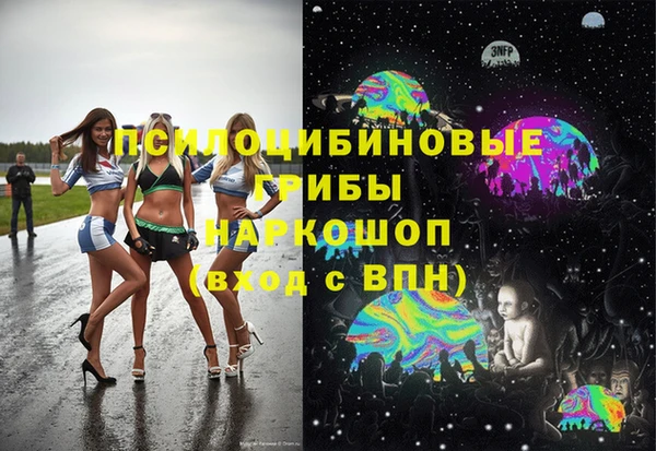 прущие грибы Верхний Тагил