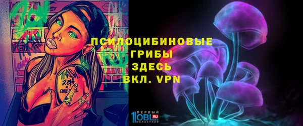 прущие грибы Верхний Тагил