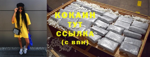 прущие грибы Верхний Тагил