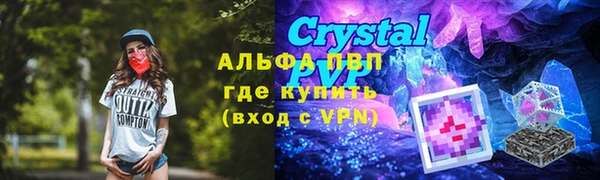 прущие грибы Верхний Тагил