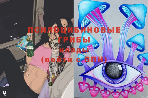шишки Верхнеуральск